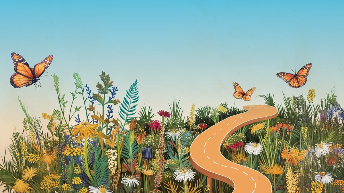A hand-painted orange road winding through a meadow of California wildflowers, with monarch butterflies overhead